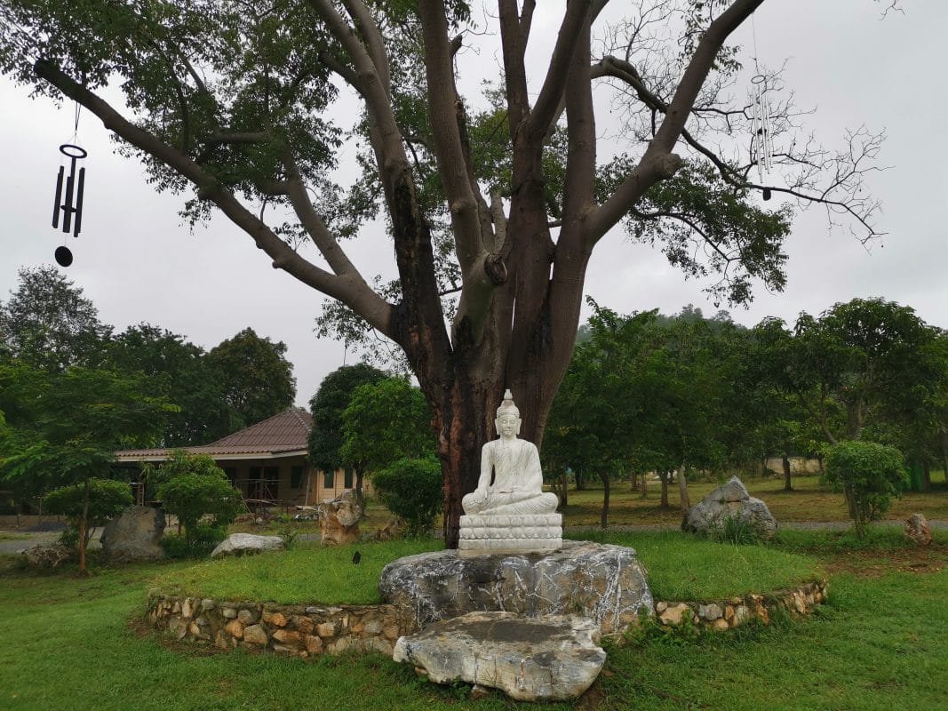 Sąmoningos kelionės