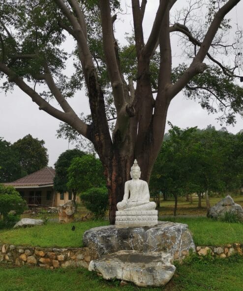 buda - tylos ir ramybes bei meditacijos simbolis