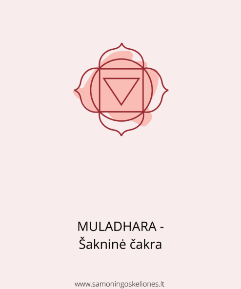 muladhara saknine cakra