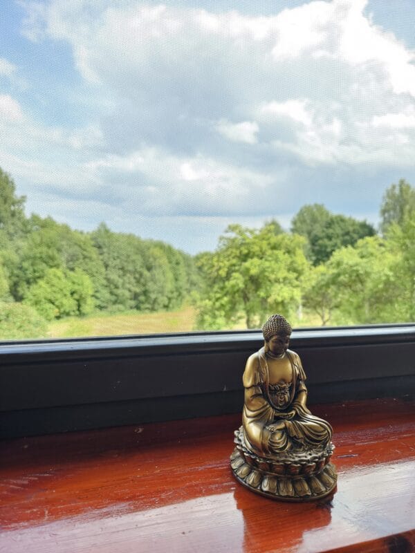 Sąmoningos kelionės