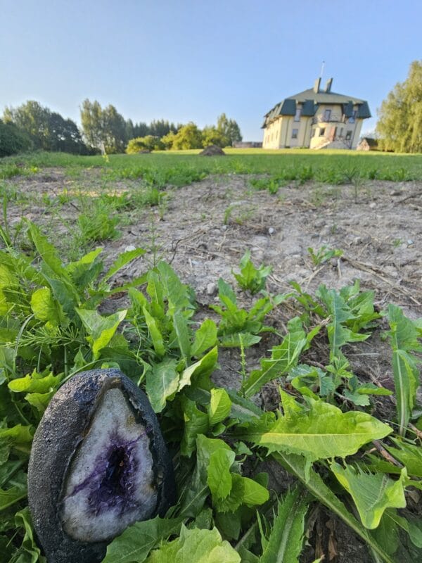 Sąmoningos kelionės