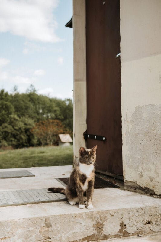 Sąmoningos kelionės