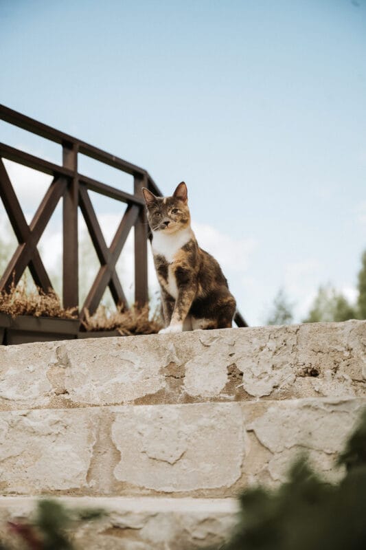 Sąmoningos kelionės