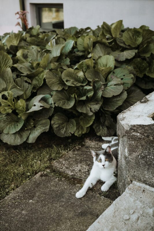 Sąmoningos kelionės