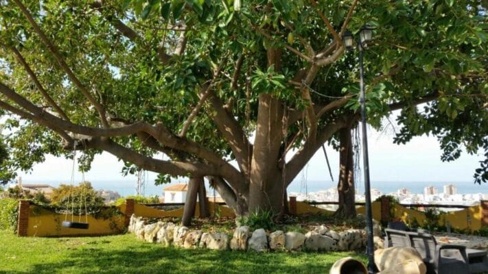 Moteru stovyklos Ispanijoje vila