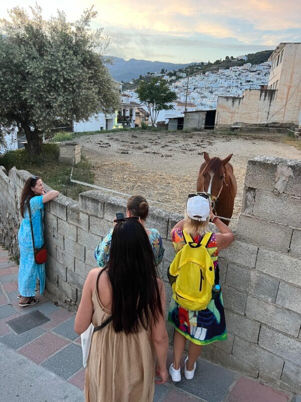 Sąmoningos kelionės