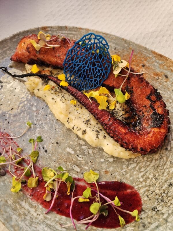 Sąmoningos kelionės